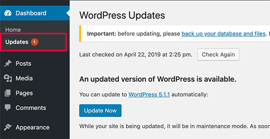 Slow WordPress website updates 